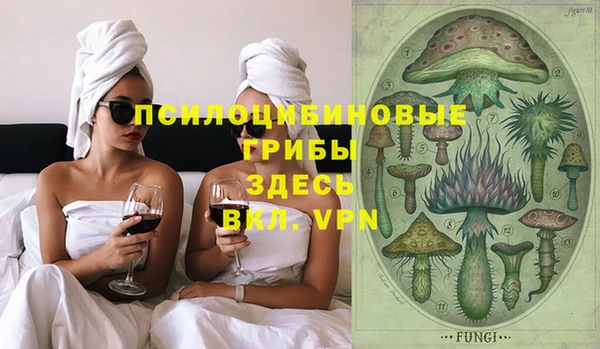 герыч Алексин