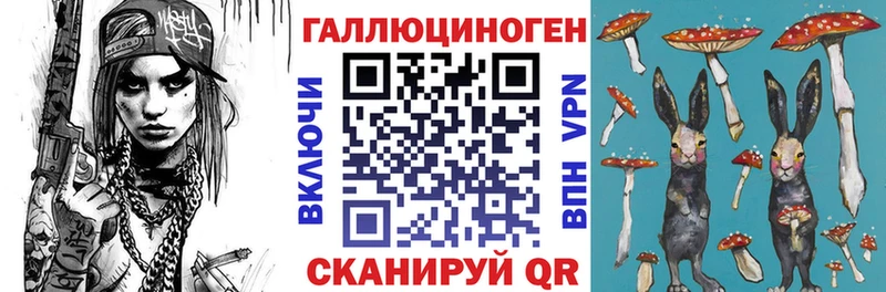 магазин продажи наркотиков Абакан Галлюциногенные грибы Psilocybe